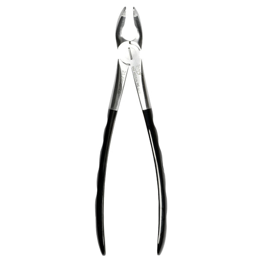 217 Atraumair Forceps 1st and 2nd Molars