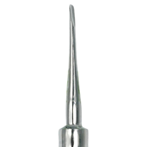 301 Apexo straight elevator Serrated 4018