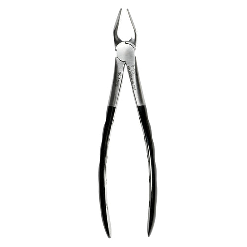 35 Atraumair Apical Forceps Upper CanPremolar