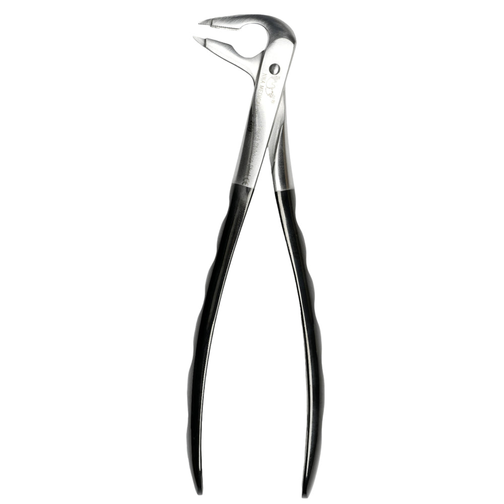 36 Atraumair Forceps
Lower Incisors