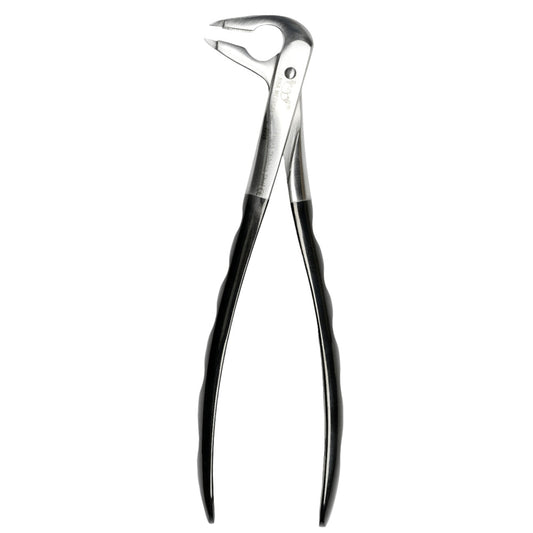 36 Atraumair Forceps 
Lower Incisors