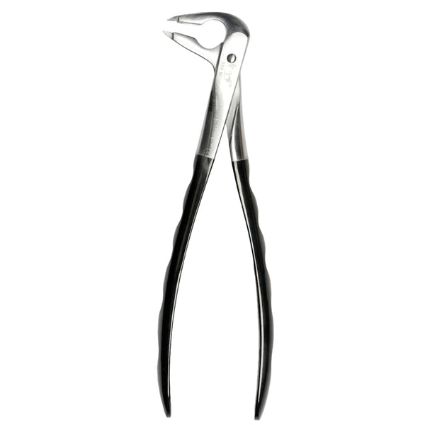 36 Atraumair Forceps
Lower Incisors