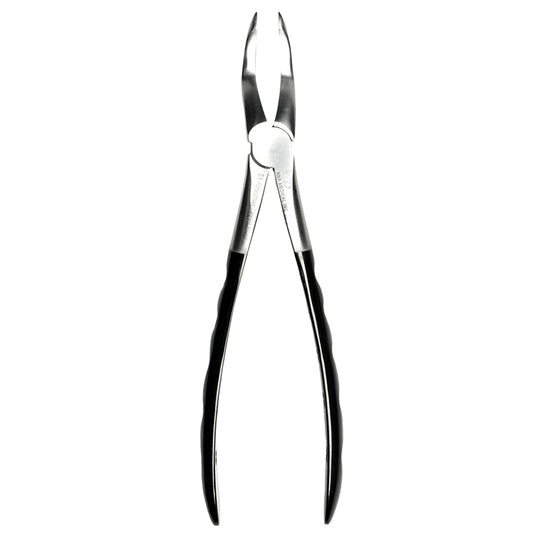 51 Atraumair Forceps, Serrated Upper Root