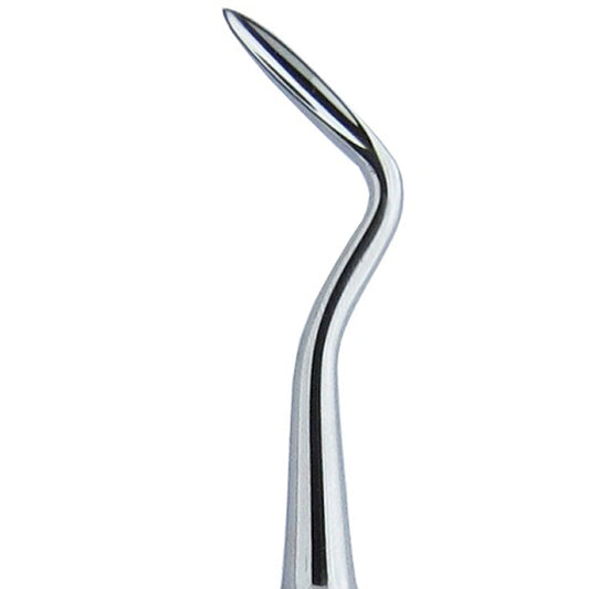 5 Schmeckebier Apexo Right