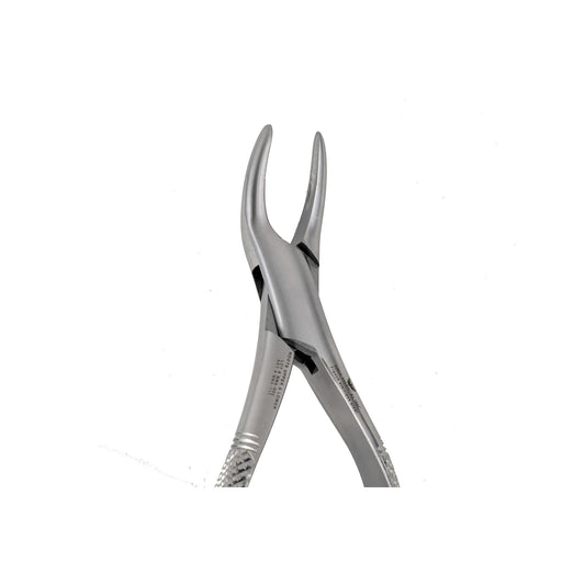 69 Fragments & Upper &Lower Roots