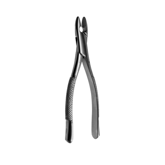 99C Upper Premolars & Incisors