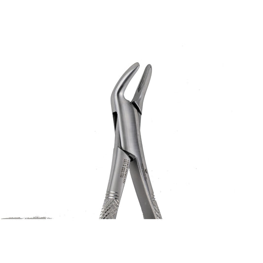 151A Upper incisors ,Canines Premolars