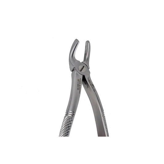 19 Upper Wisdoms Extraction