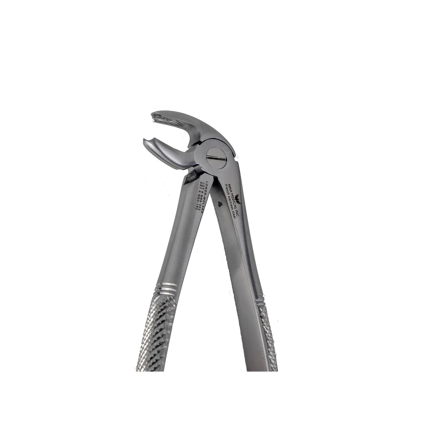22 Lower Molar Extraction