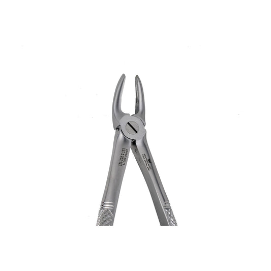 30 Upper Roots Extraction