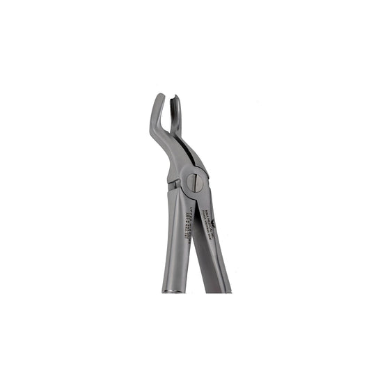 67, Upper Molars, Wisdom Extraction