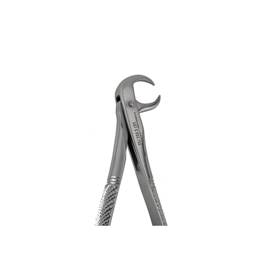 86C Cow Horn Lower Molars Extraction Forceps