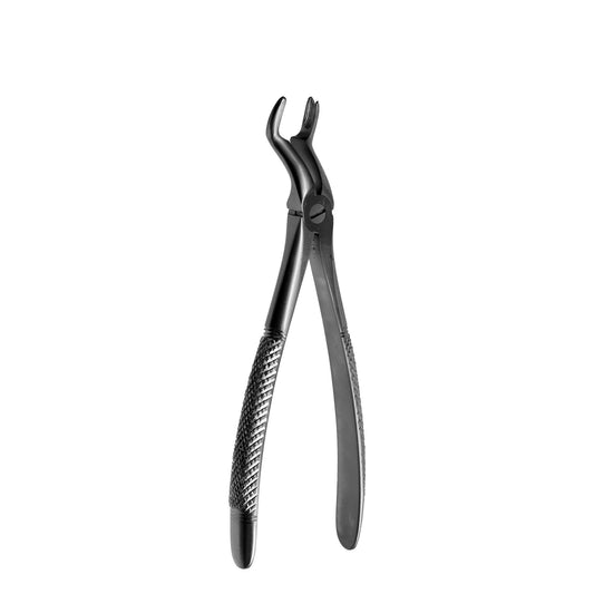 F12 Right Upper Molars