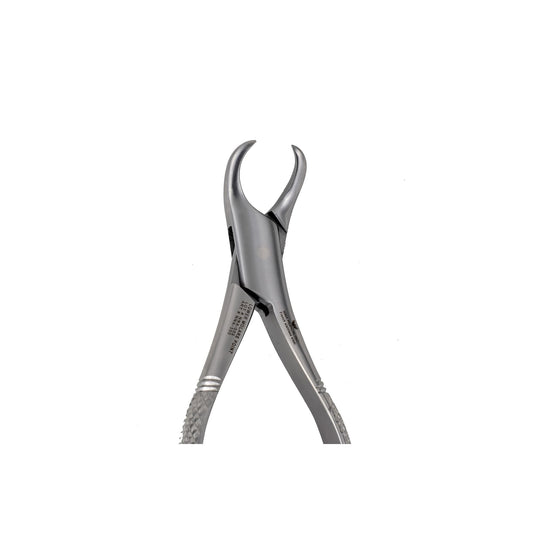 16S Pedo Lower Molars Extraction