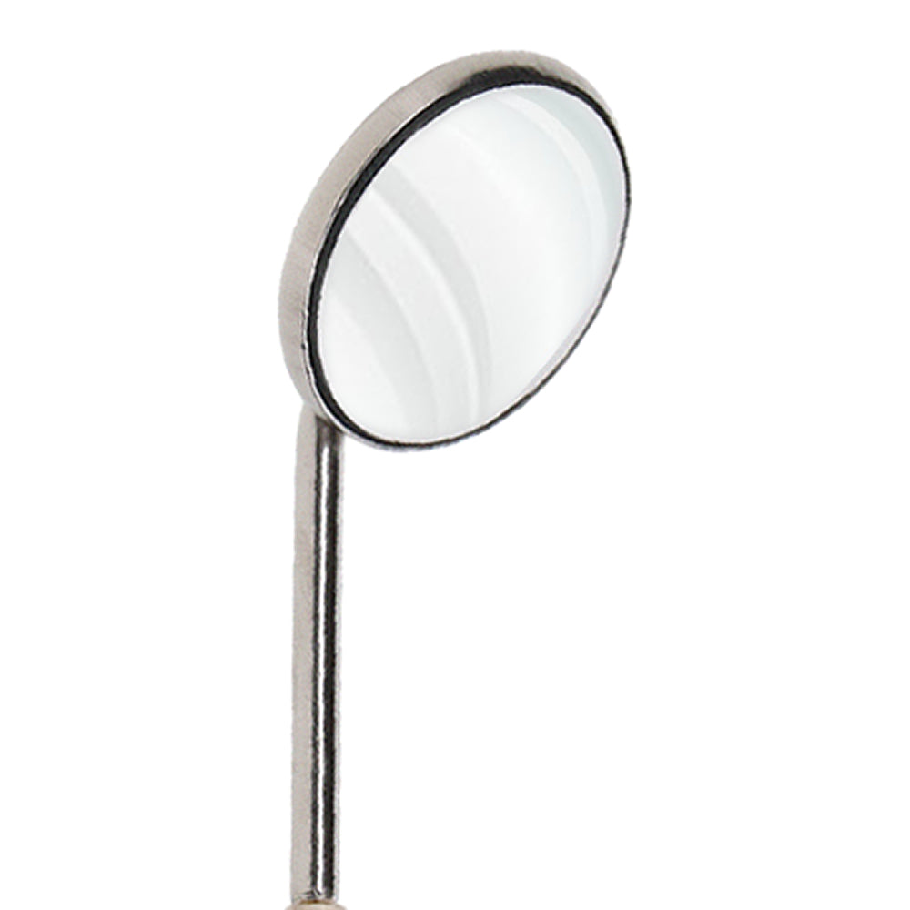 Mirror With Handle No #1
