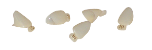 Polycarbonate Crowns 5/pk - MARK3