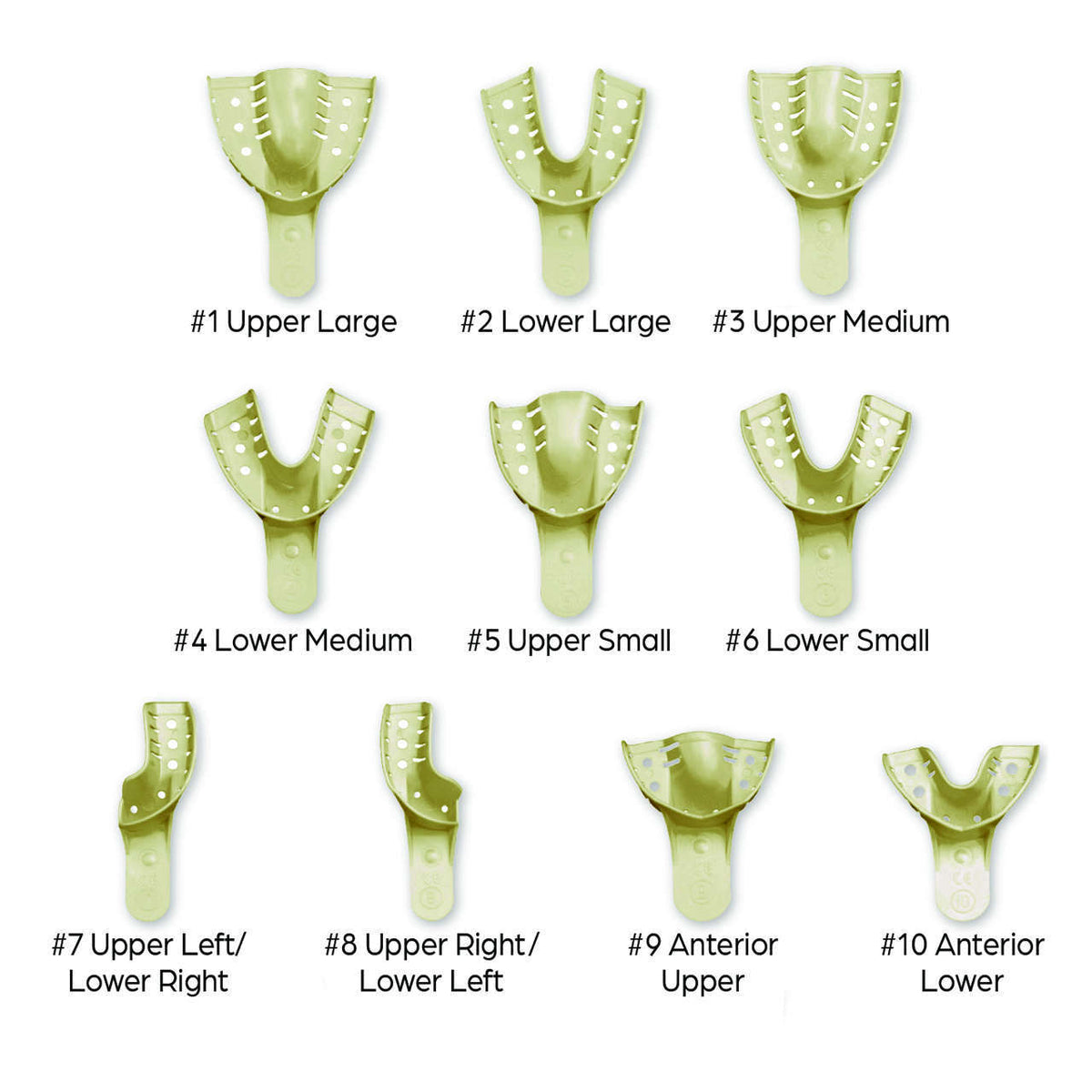 Disposable Impression Trays #1 Upper-Large 12/pk - MARK3