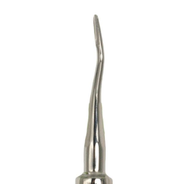 Dental Elevator 302 Apexo Serrated for precise surgical tooth extraction and effective dental elevator use