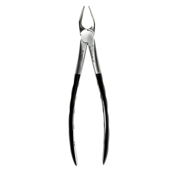 35 Atraumair Apical Forceps Upper CanPremolar