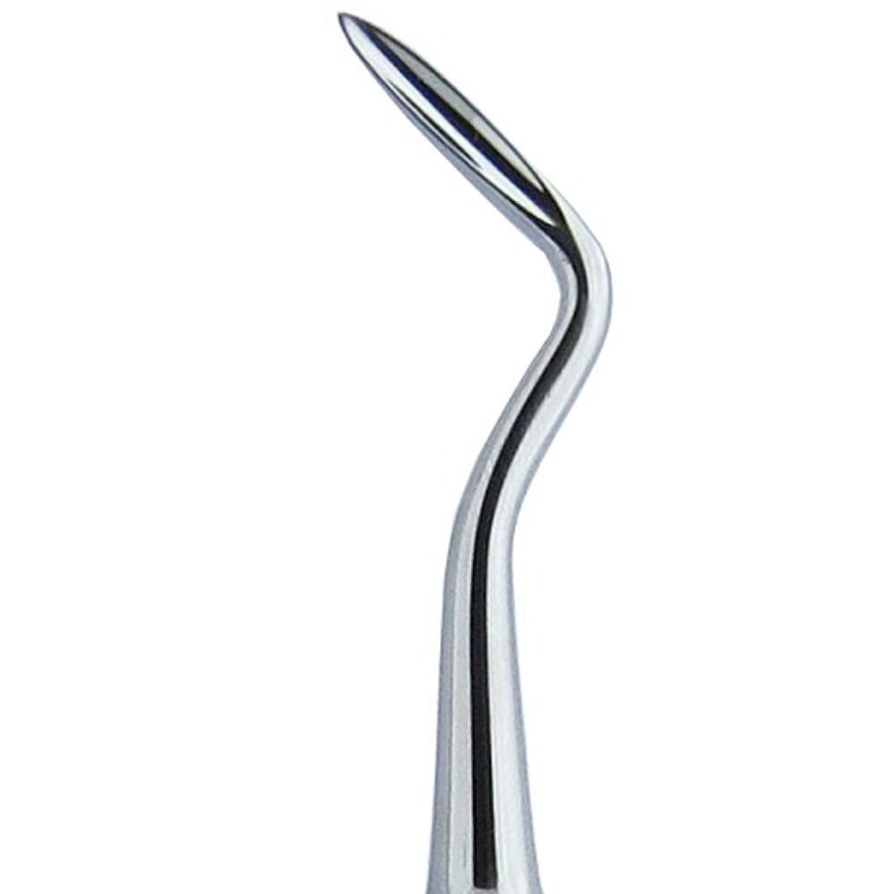 5 Schmeckebier Apexo Right