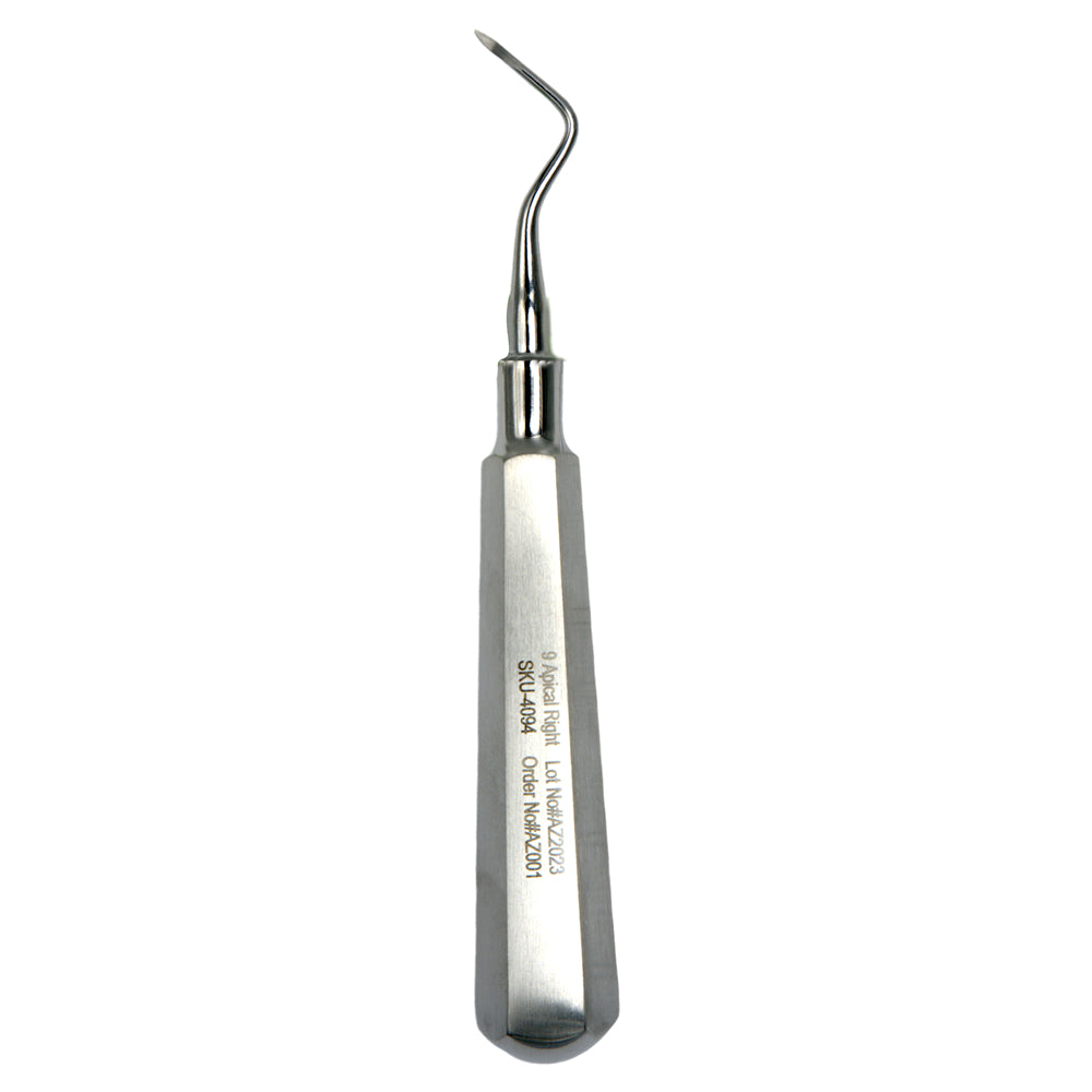 9R Apical Right