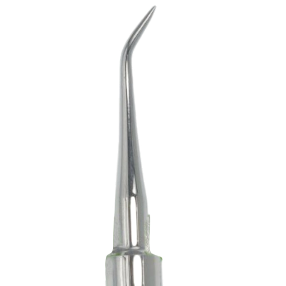 B Cogswell Thin Nose