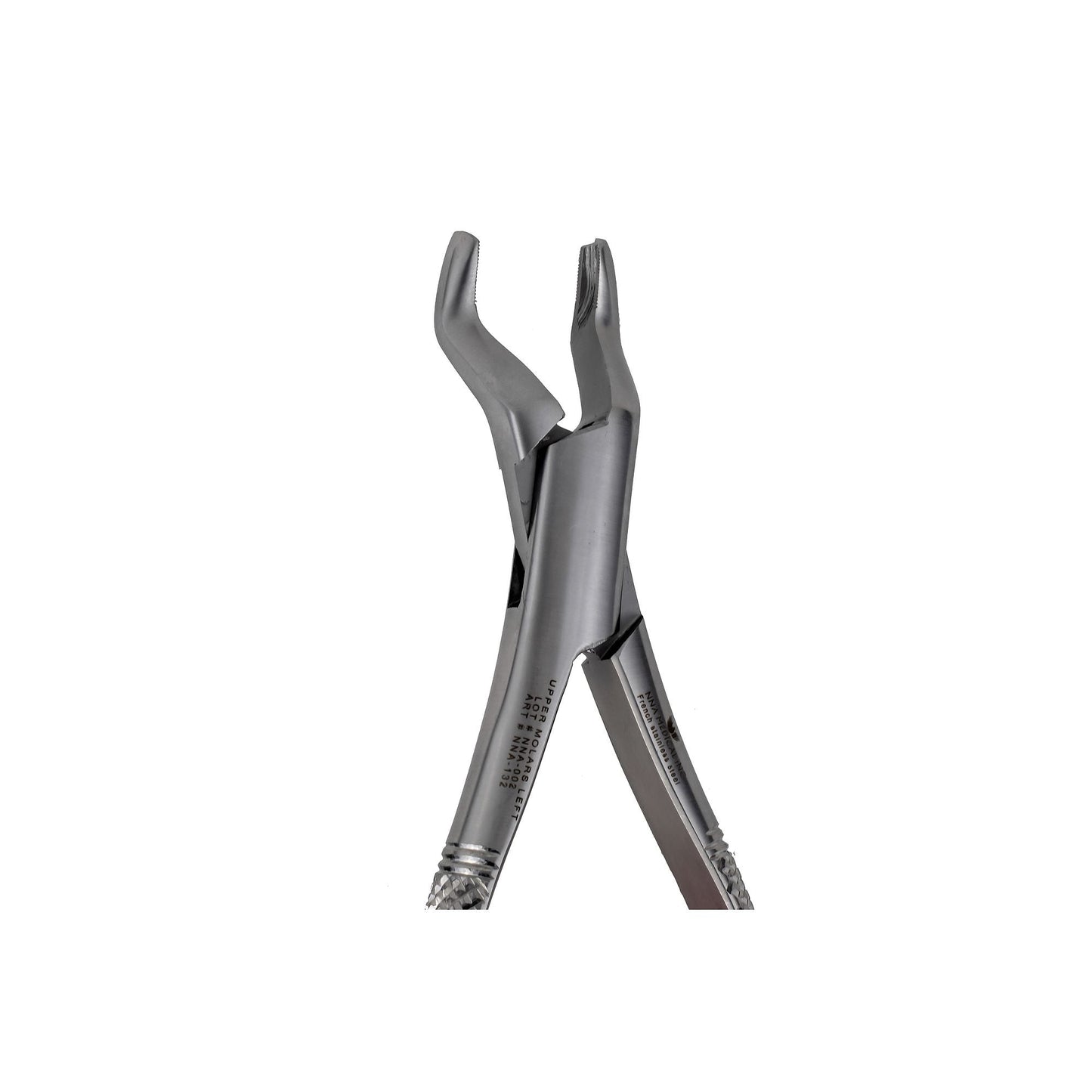 53L Left 1st and 2nd Upper Molars pointed Beak