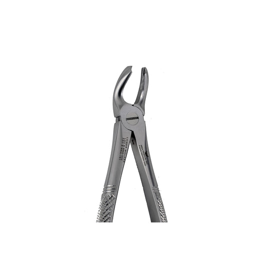 21 Lower Molars Extraction
