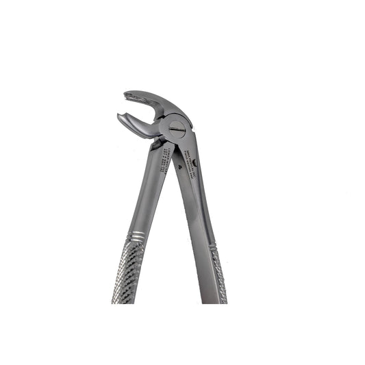 22 Lower Molar Extraction
