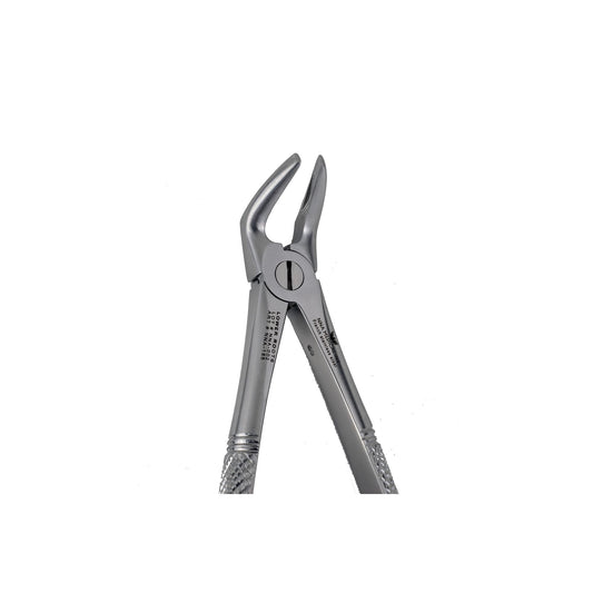 31 Lower Roots Extraction