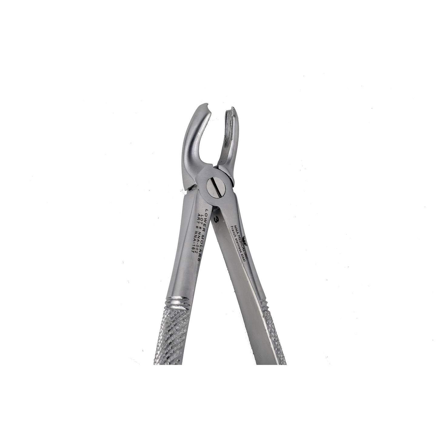 32 Lower Molars