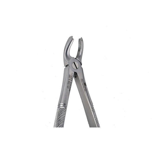32 Lower Molars