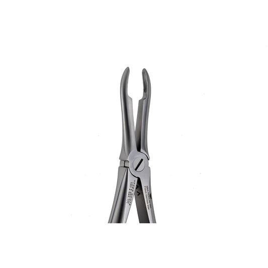 44 Upper Roots Extraction