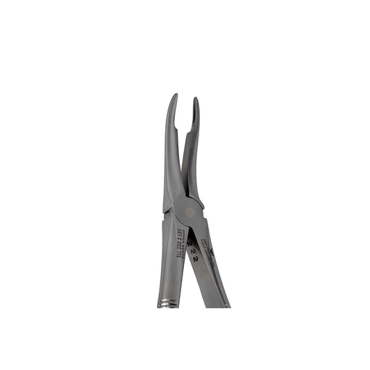 49 Upper Roots Extraction