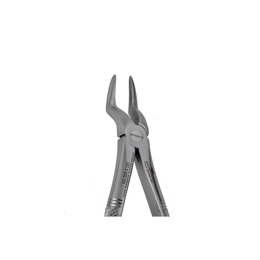 51A Upper Roots Pointed Beak