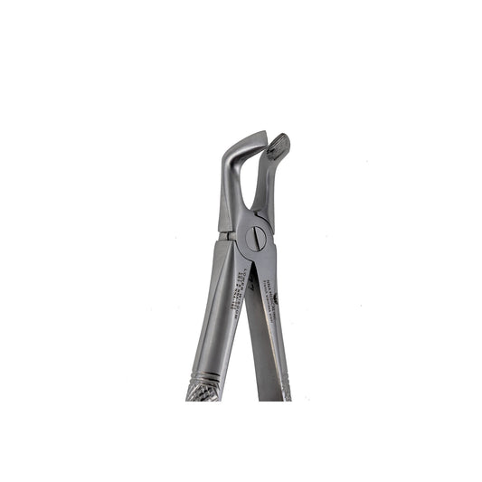 79 Lower Wisdoms Extraction