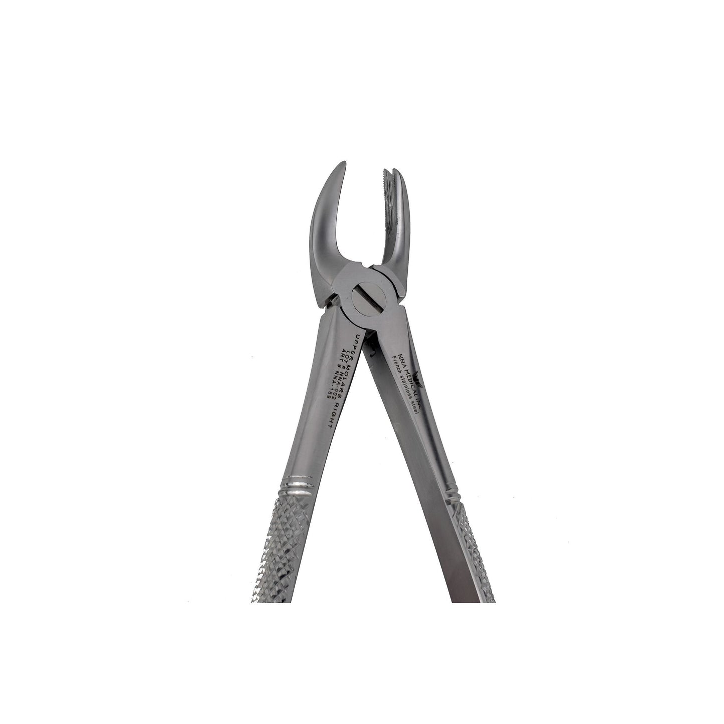 89 Right Upper Molars