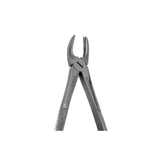 89 Right Upper Molars