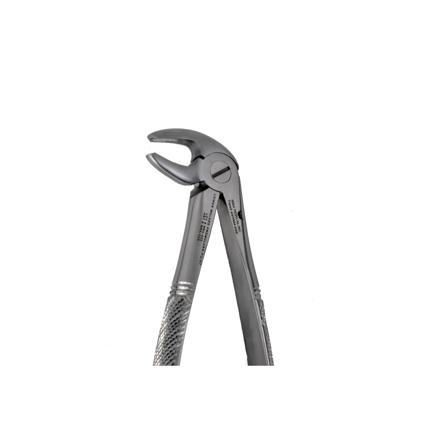 MD3 Lower Molars & PreMolars Point